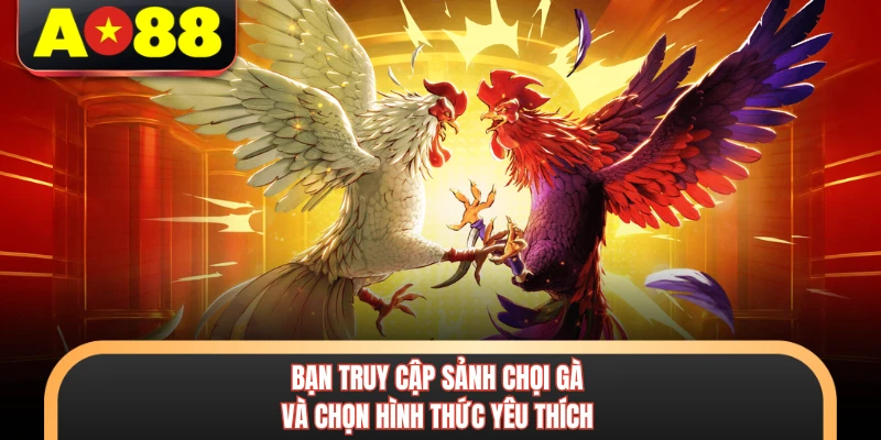 Đá Gà Tre AO88 - Sảnh Thi Đấu Trực Tiếp Đỉnh Cao Nhất 4 Bạn truy cập sảnh chọi gà và chọn hình thức yêu thích