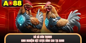 Đá Gà Đòn Thomo - Kinh Nghiệm Đặt Cược Đỉnh Cao Tại AO88