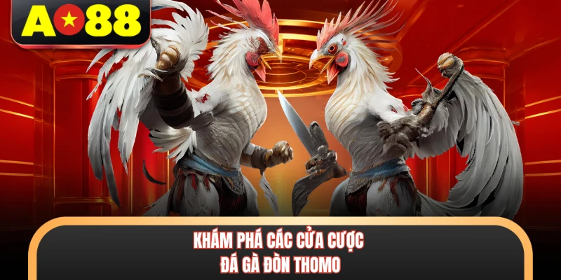 Đá Gà Đòn Thomo - Kinh Nghiệm Đặt Cược Đỉnh Cao Tại AO88 4 Khám phá các cửa cược đá gà đòn Thomo