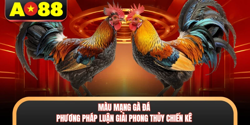 Màu Mạng Gà Đá - Phương Pháp Luận Giải Phong Thủy Chiến Kê 1 Màu Mạng Gà Đá - Phương Pháp Luận Giải Phong Thủy Chiến Kê