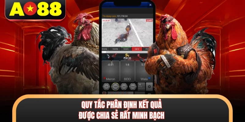 Đá Gà Tre AO88 - Sảnh Thi Đấu Trực Tiếp Đỉnh Cao Nhất 3 Quy tắc phân định kết quả được chia sẻ rất minh bạch